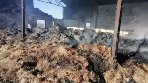 incendiu utvinis stins1