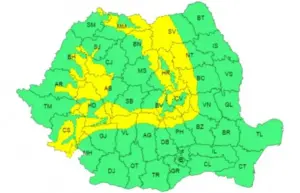județul arad