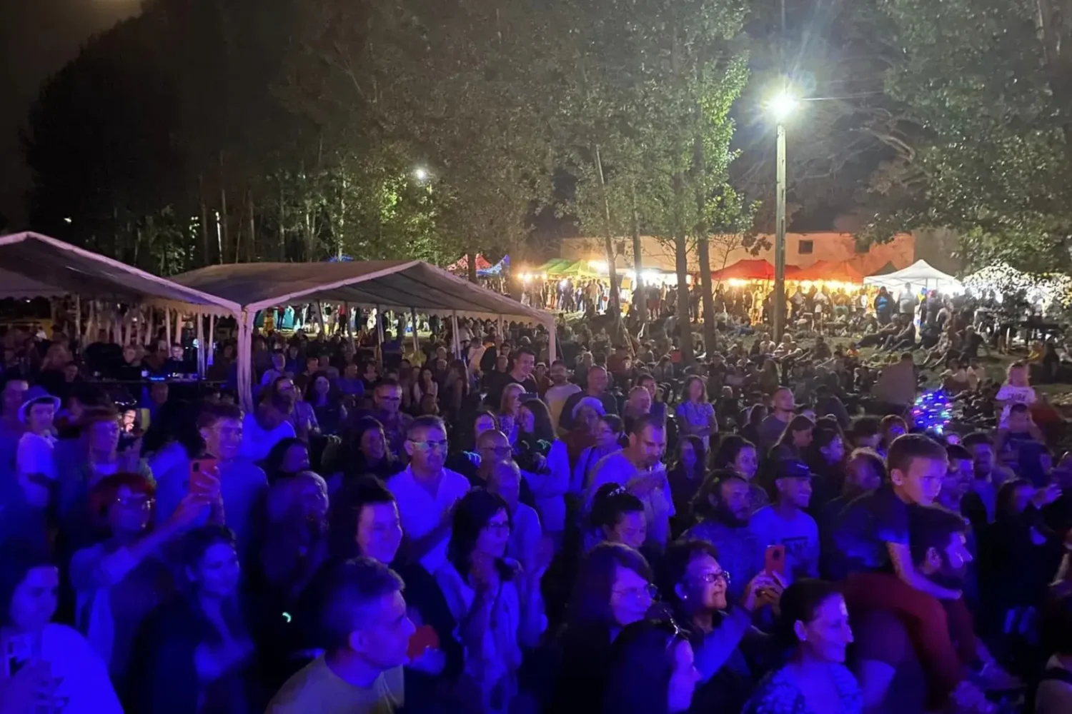 bulci fest