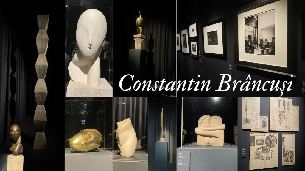 constantin brancusi campanie 2016 1