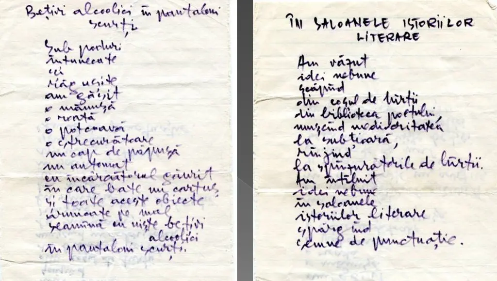 francisc vinganu poeme