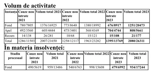 Raport Activitate 2023 Tribunalul Arad 5