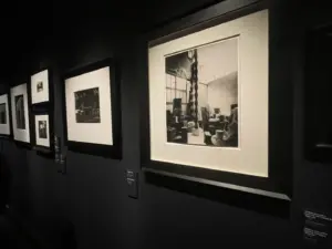 expozitie brancusi timisoara1 1
