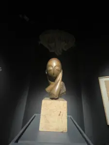 expozitie brancusi timisoara10