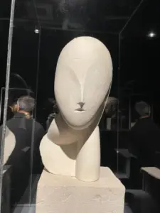 expozitie brancusi timisoara11