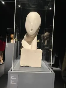 expozitie brancusi timisoara13