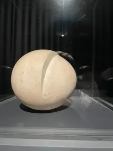 expozitie brancusi timisoara14