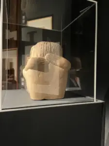 expozitie brancusi timisoara15