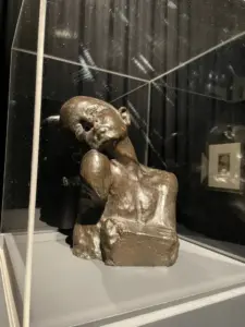 expozitie brancusi timisoara18