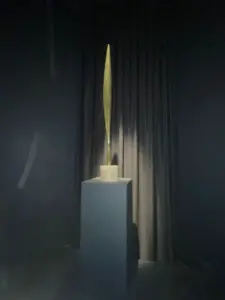expozitie brancusi timisoara2