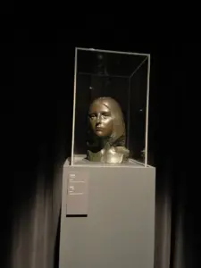 expozitie brancusi timisoara20