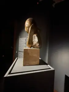 expozitie brancusi timisoara21