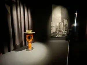 expozitie brancusi timisoara22
