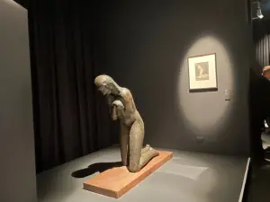 expozitie brancusi timisoara23