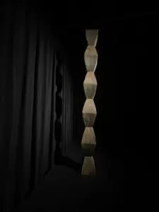 expozitie brancusi timisoara3