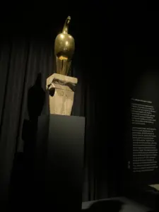 expozitie brancusi timisoara4