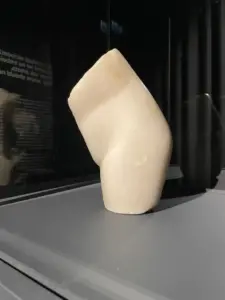 expozitie brancusi timisoara5