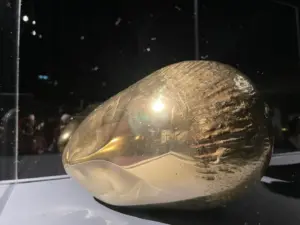expozitie brancusi timisoara6