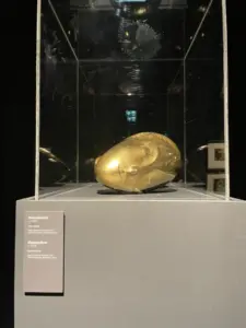 expozitie brancusi timisoara7