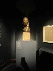 expozitie brancusi timisoara9