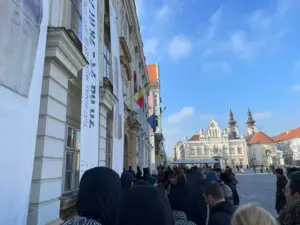 expozitie brancusi timisoara coada