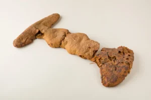 Descoperirea pâinii vechi de 8.600 de ani dă naștere unor teorii fragede