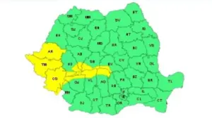 județele arad și timiș sunt