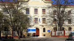 zeci de elevi și profesori