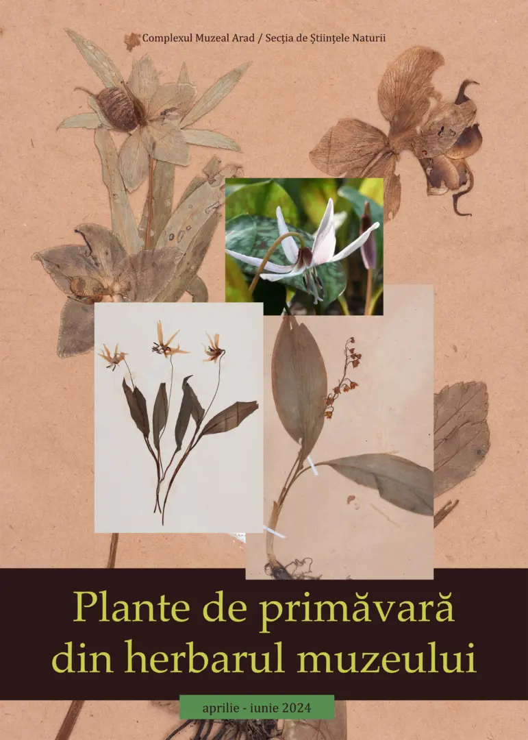 expozitie plante de primavara