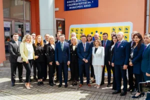 pnl arad a depus oficial