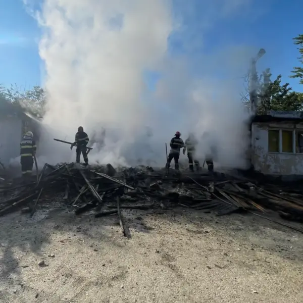 incendiu Micalaca2