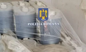 verificări ale polițiștilor la societățile