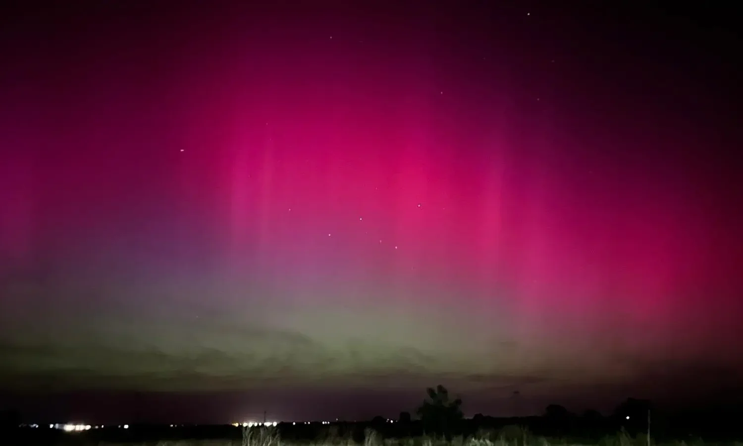 boreala