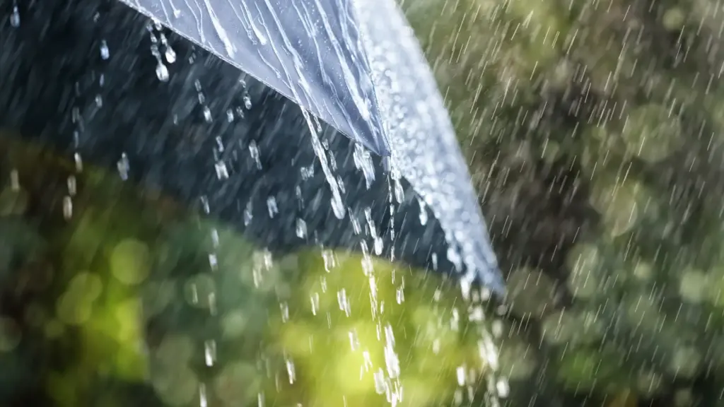 meteo ploi