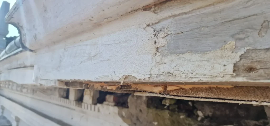 „Schimbarea la față” a Tribunalului Arad | S-a finalizat recepţia la terminarea lucrării de reparaţii capitale la faţada clădirii şi iluminat arhitectural