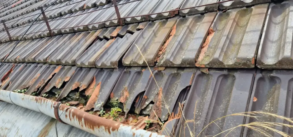 tribunal inainte de renovare7 large
