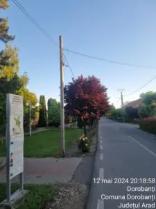 dorobanti 3
