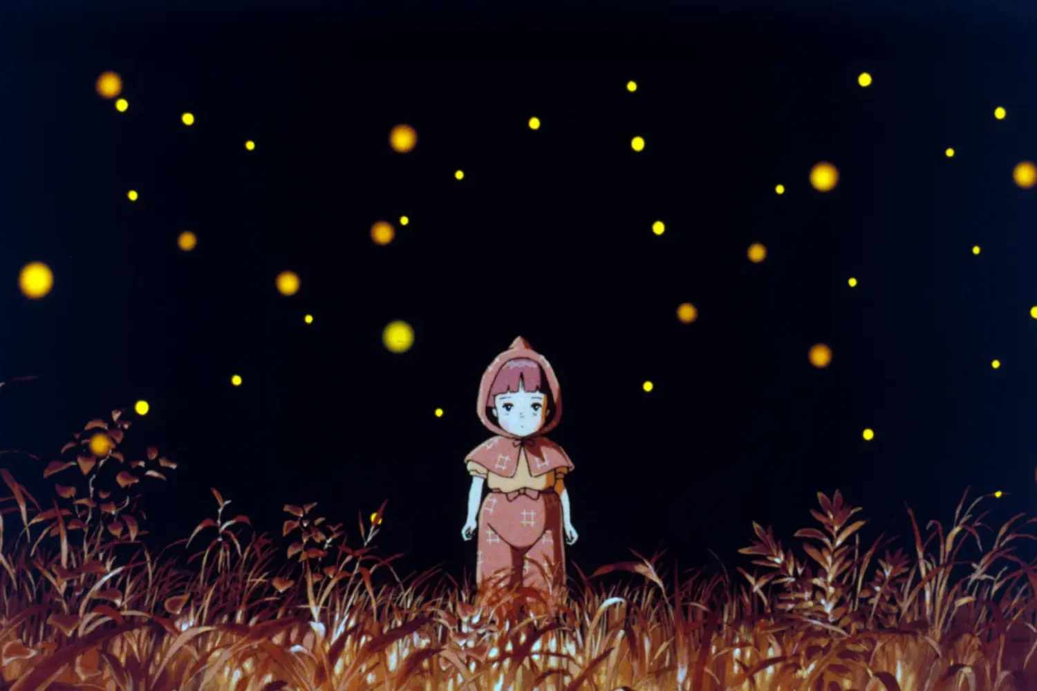 grave of the fireflies -