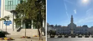 rezultate alegeri locale arad -