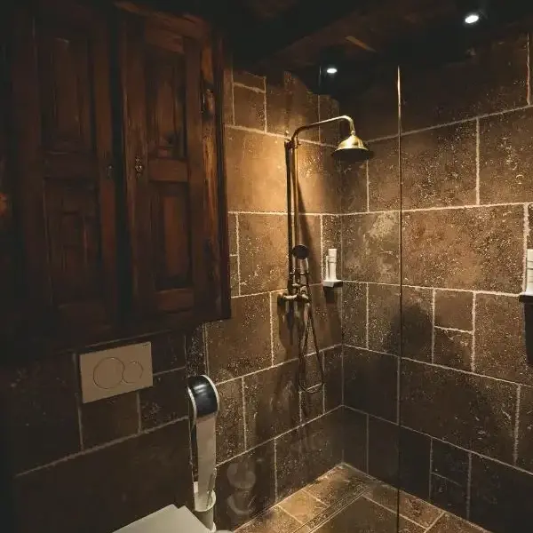 conacul sava brancovici ineu baie1