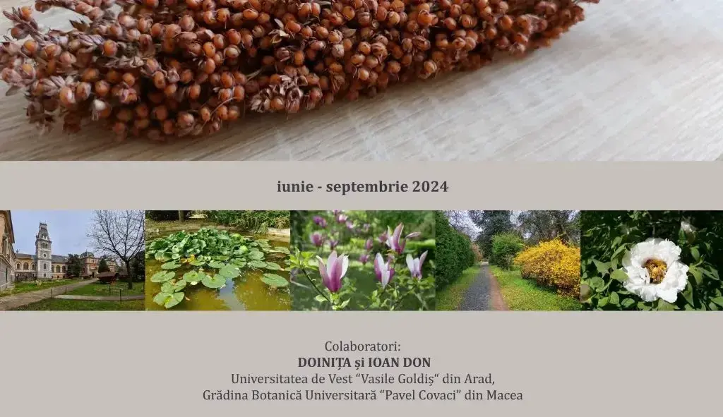 seminte gradina botanica macea 1 large