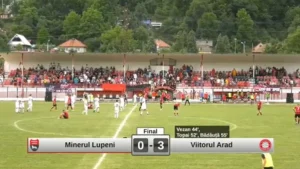 viitorul arad a promovat