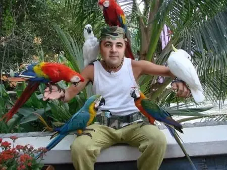 botos