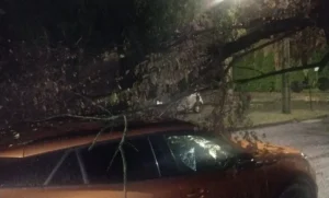 efectele codului roșu la arad