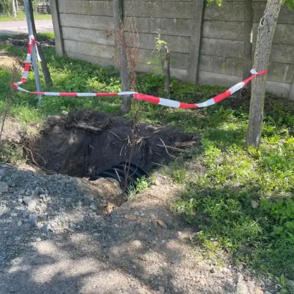 dorobanti conducta