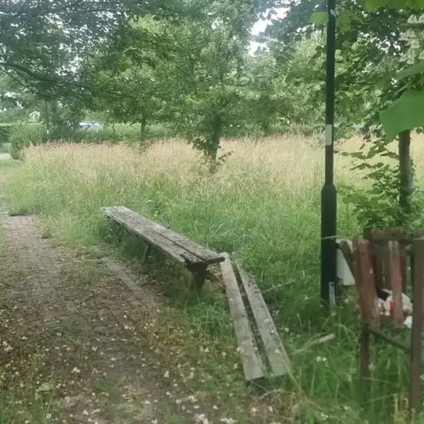 parc dorobanti 1