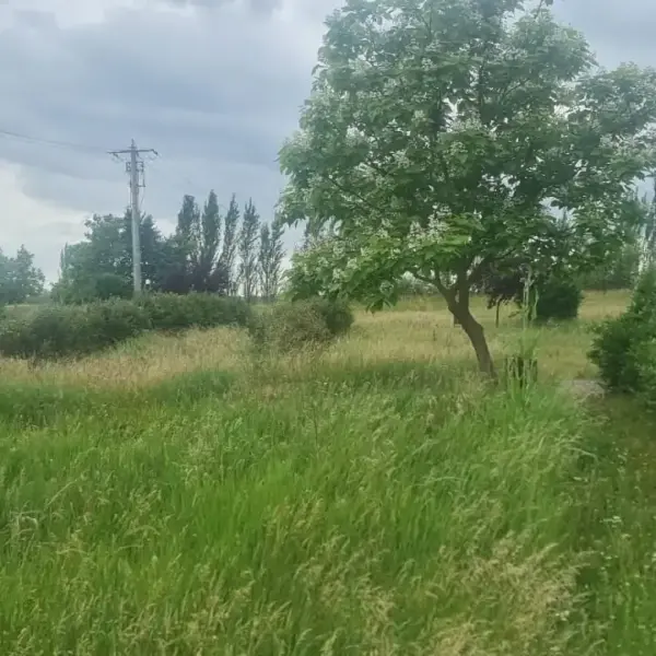 parc dorobanti 3