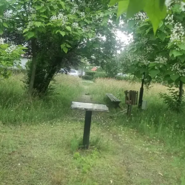 parc dorobanti 4