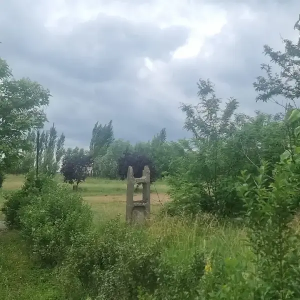 parc dorobanti 5