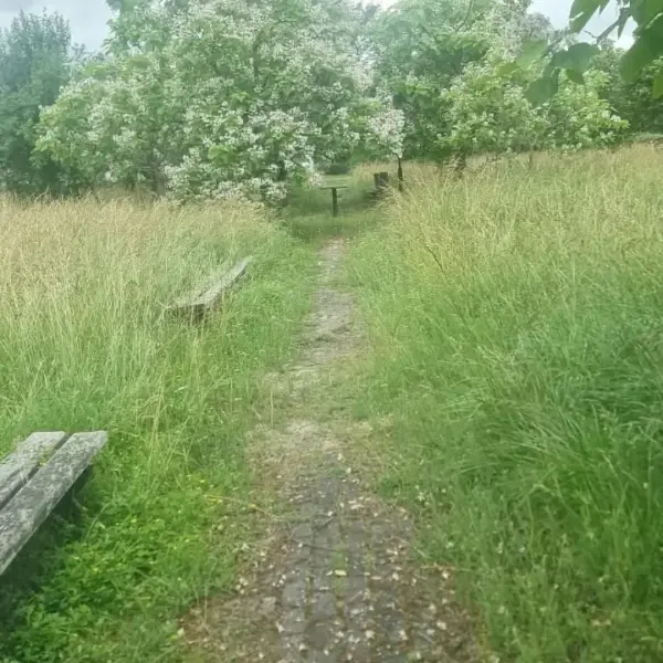 parc dorobanti 6